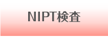 NIPT検査